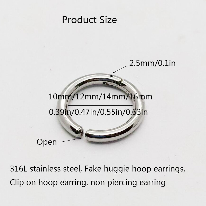 2/6 Stuks Nep Huggie Hoepel Oo - Body Jewelry Tunnels recensie en prijs